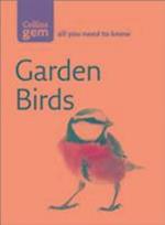 Garden Birds