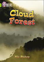 Cloud Forest