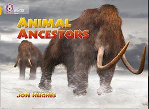 Animal Ancestors