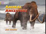 Animal Ancestors