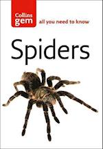 Spiders