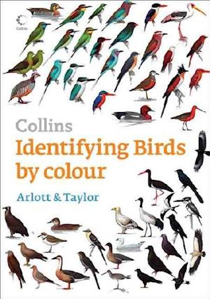 Identifying Birds by Colour