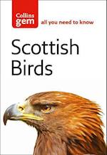 Scottish Birds