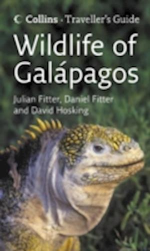 Wildlife of the Galapagos