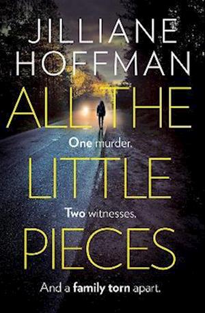 Hoffman, J: All the Little Pieces