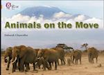 Animals on the Move