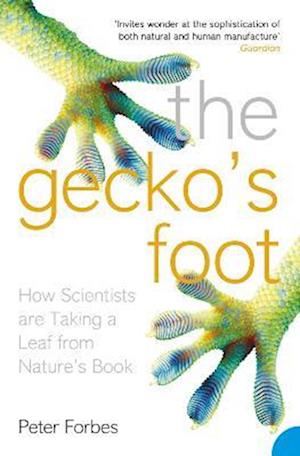 Gecko's Foot