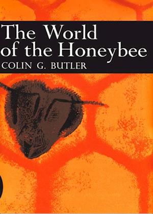 World of the Honeybee