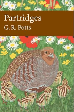 Partridges