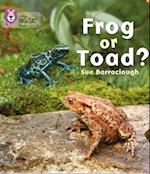 Frog or Toad?