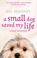 Small Dog Saved My Life