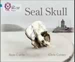 Seal Skull