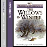 The Willows In Winter