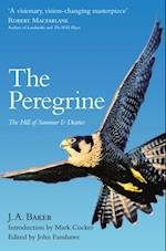 Peregrine