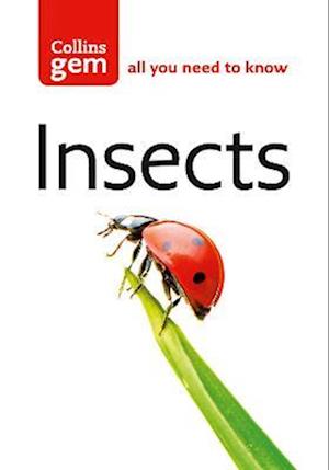 Insects