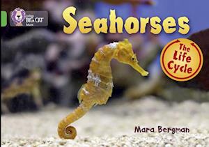 Seahorses