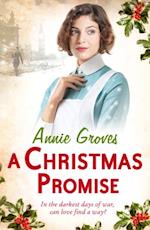 Christmas Promise