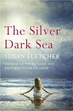 Silver Dark Sea