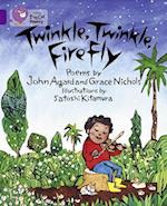 Twinkle, Twinkle, Firefly Workbook