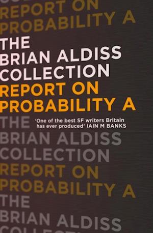 Report on Probability A