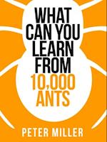 What You Can Learn From 10,000 Ants