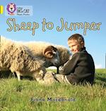 Sheep to Jumper