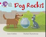 Dog Rocks!