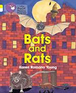Bats and Rats