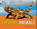 Extreme Animals