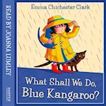 What Shall We Do, Blue Kangaroo