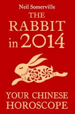 RABBIT IN 2014: YOUR CHINE EB
