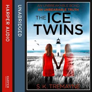 The Ice Twins