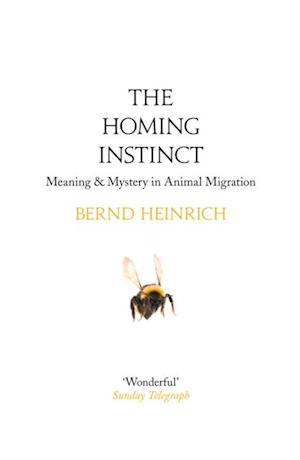 Homing Instinct