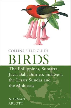 Birds of the Philippines