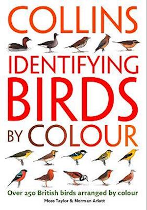 Identifying Birds by Colour