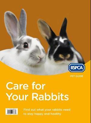 Care for Your Rabbits