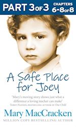 Safe Place for Joey: Part 3 of 3