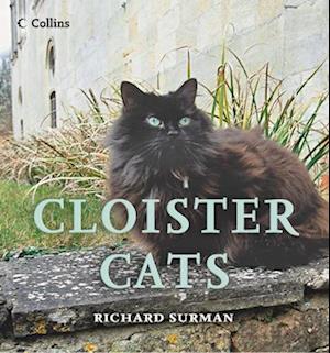 Cloister Cats