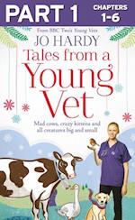 Tales from a Young Vet: Part 1 of 3