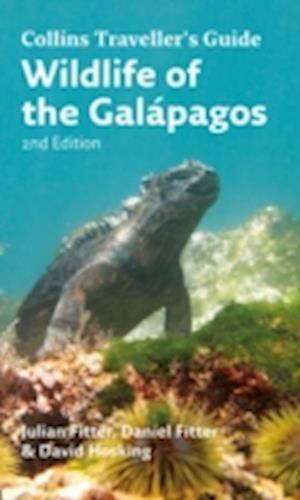 Wildlife of the Galapagos