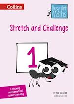 Stretch and Challenge 1