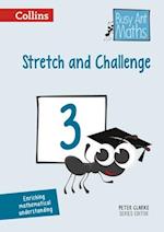 Stretch and Challenge 3