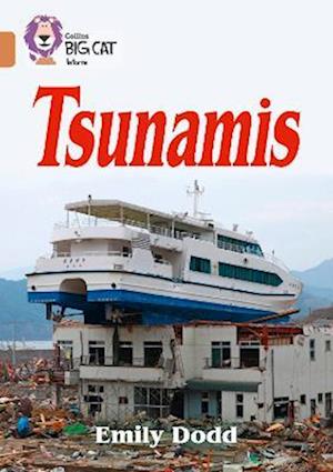 Tsunamis