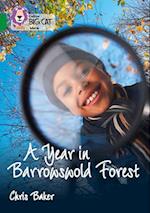 A Year in Barrowswold Forest