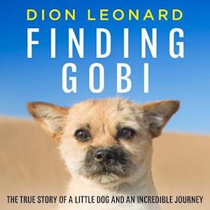 Finding Gobi (Main edition)