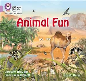 Animal Fun