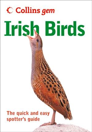 Irish birds