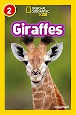 Giraffes