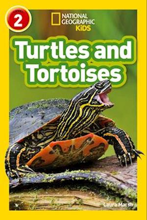 Turtles and Tortoises