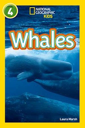 Whales